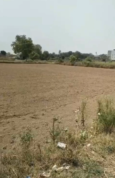 Alipura, Chhatarpur, Madhya Pradesh 471111, India