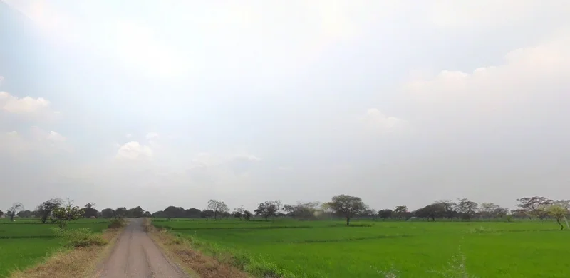 Sonpairi-2, Chhattisgarh 493661, India preview 2