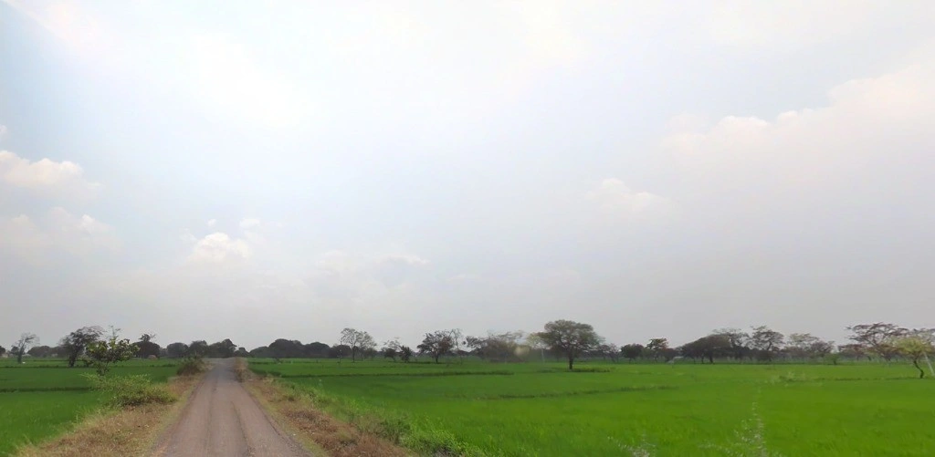 Sonpairi-2, Chhattisgarh 493661, India