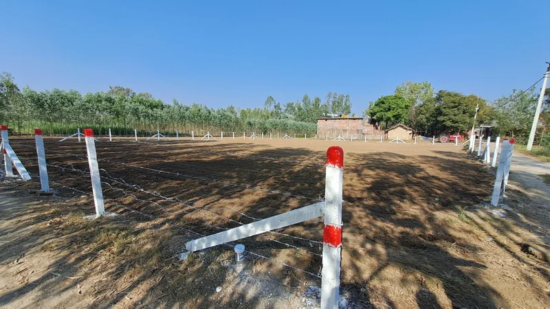 Hasanawala, Uttarakhand 247662, India preview 3