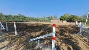 Hasanawala, Uttarakhand 247662, India preview 3