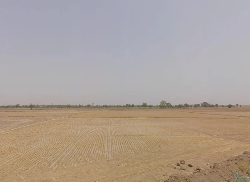 Farukh Nagar, Haryana 122506, India