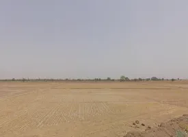 Farukh Nagar, Haryana 122506, India preview 3