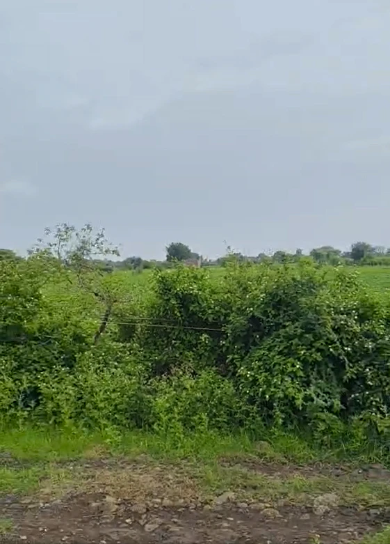 PQ97+67V, Indore, Rinjlai, Madhya Pradesh 453112, India