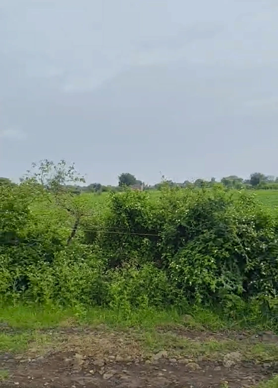 PQ97+67V, Indore, Rinjlai, Madhya Pradesh 453112, India