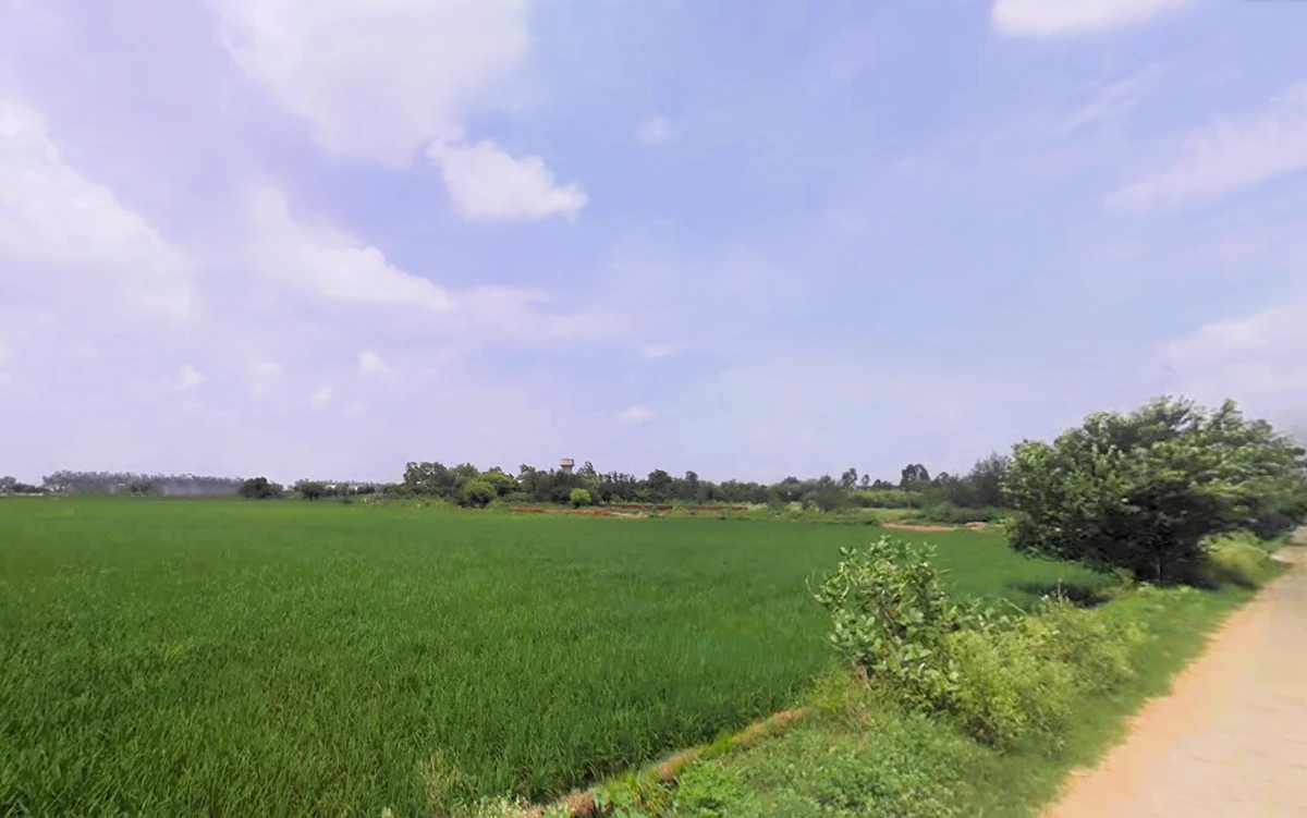 Maina, Haryana, India