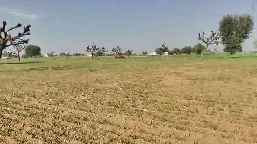 Yahiyapur, Uttar Pradesh 251201, India