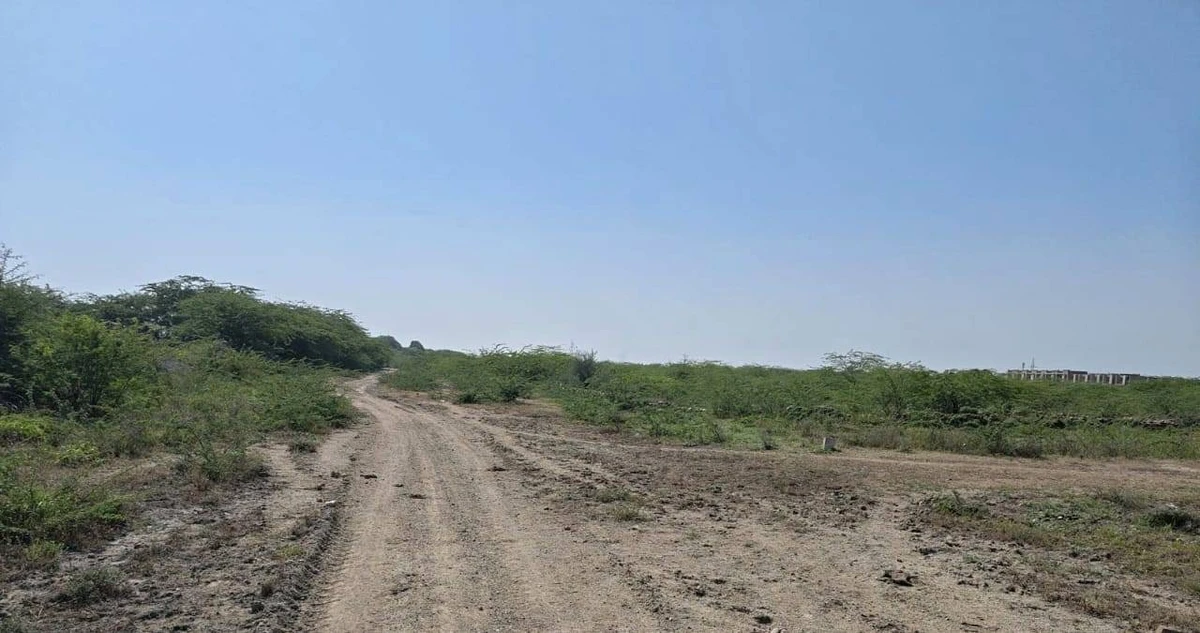 Q9W2+JF8, Pali, Rajasthan 306401, India