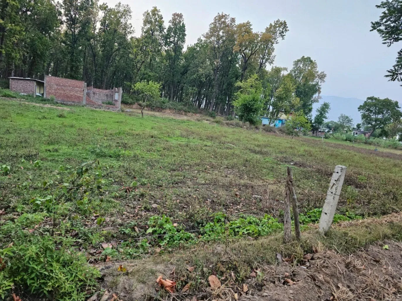 Paonta Sahib, Sirmaur, Himachal Pradesh, India