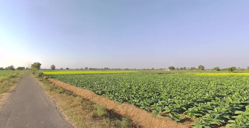 Chikhalgaon, Maharashtra 412108, India preview 3