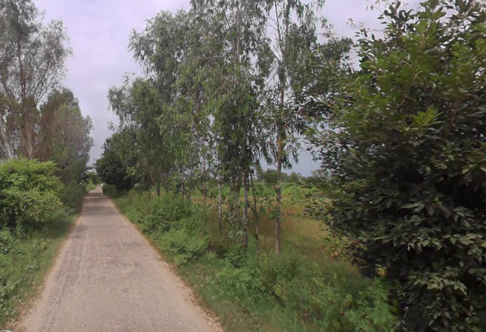 Bijora, Uttar Pradesh, India