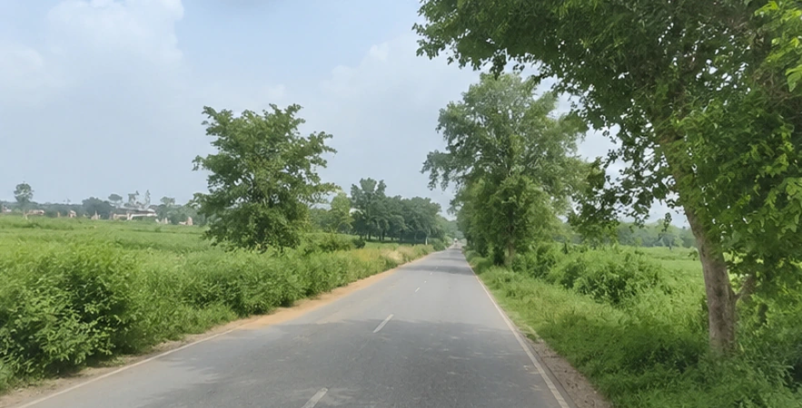 Surwaya, Shivpuri, Madhya Pradesh 473551, India