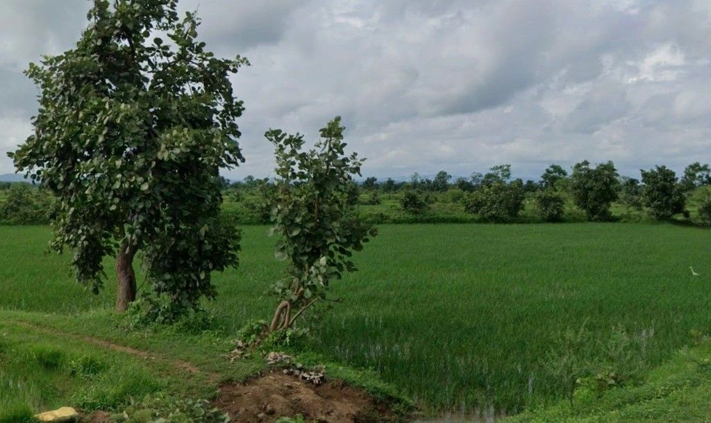 Jarauda, Chhattisgarh, India