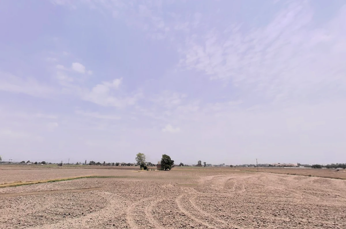 Jirbari, Haryana, India