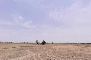 Jirbari, Haryana, India preview 3