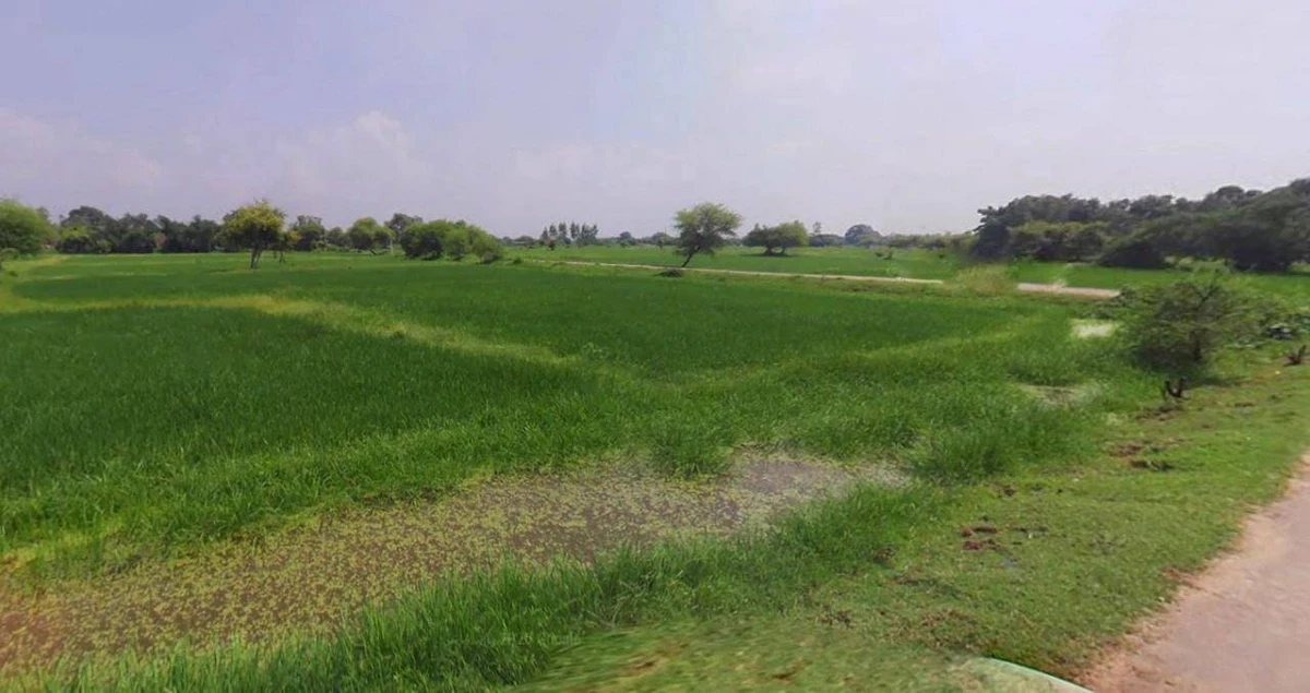 Lucknow, Uttar Pradesh, India