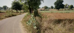 Kerwawal, Rajasthan, India preview 5