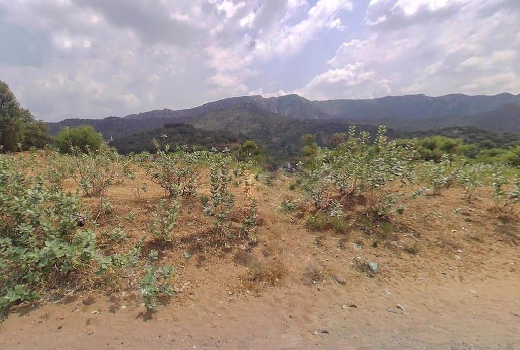 Chirana, Rajasthan 333303, India