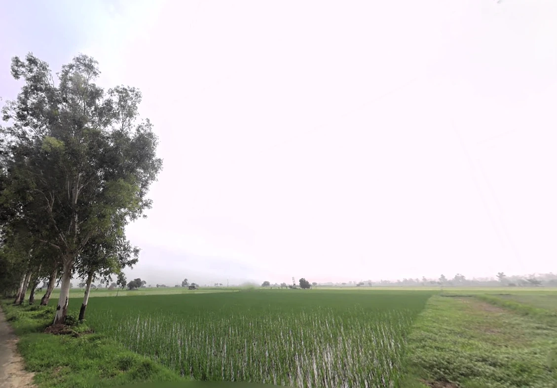 Jirbari, Haryana, India