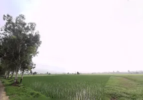 Jirbari, Haryana, India preview 2