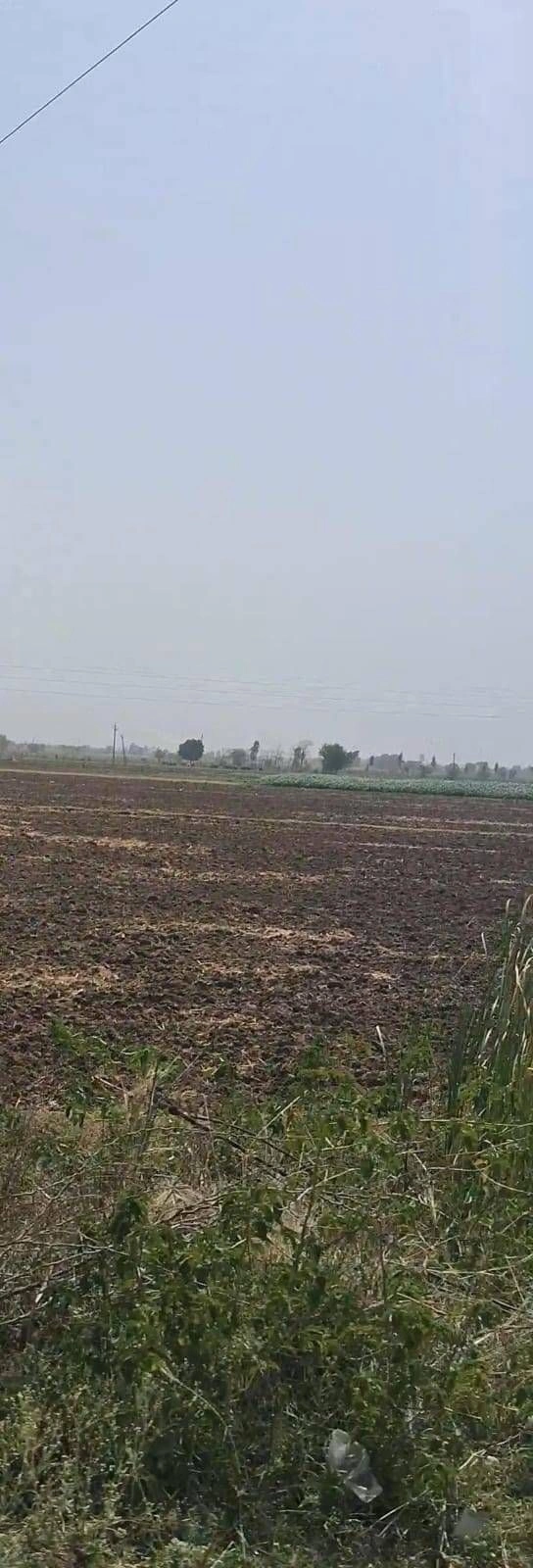 Sargoth, Rajasthan 332404, India