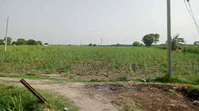 2JP5+WWP, Rohta Rd, Nai Basti, Fazalpur, Janjokhar, Meerut, Uttar Pradesh 250341, India preview 2