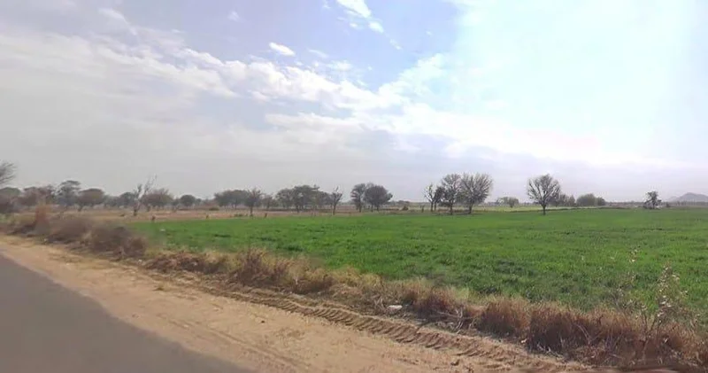 Aloda, Rajasthan 332602, India preview 3