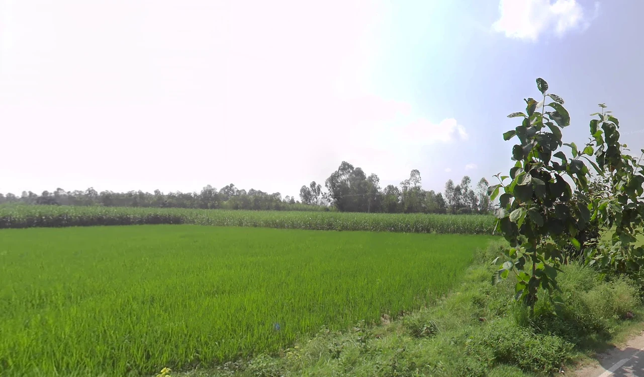 Bhagwanpur, Uttarakhand 247661, India preview 2