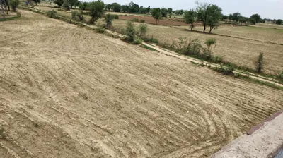 Dhanaula, Punjab 148105, India preview 2