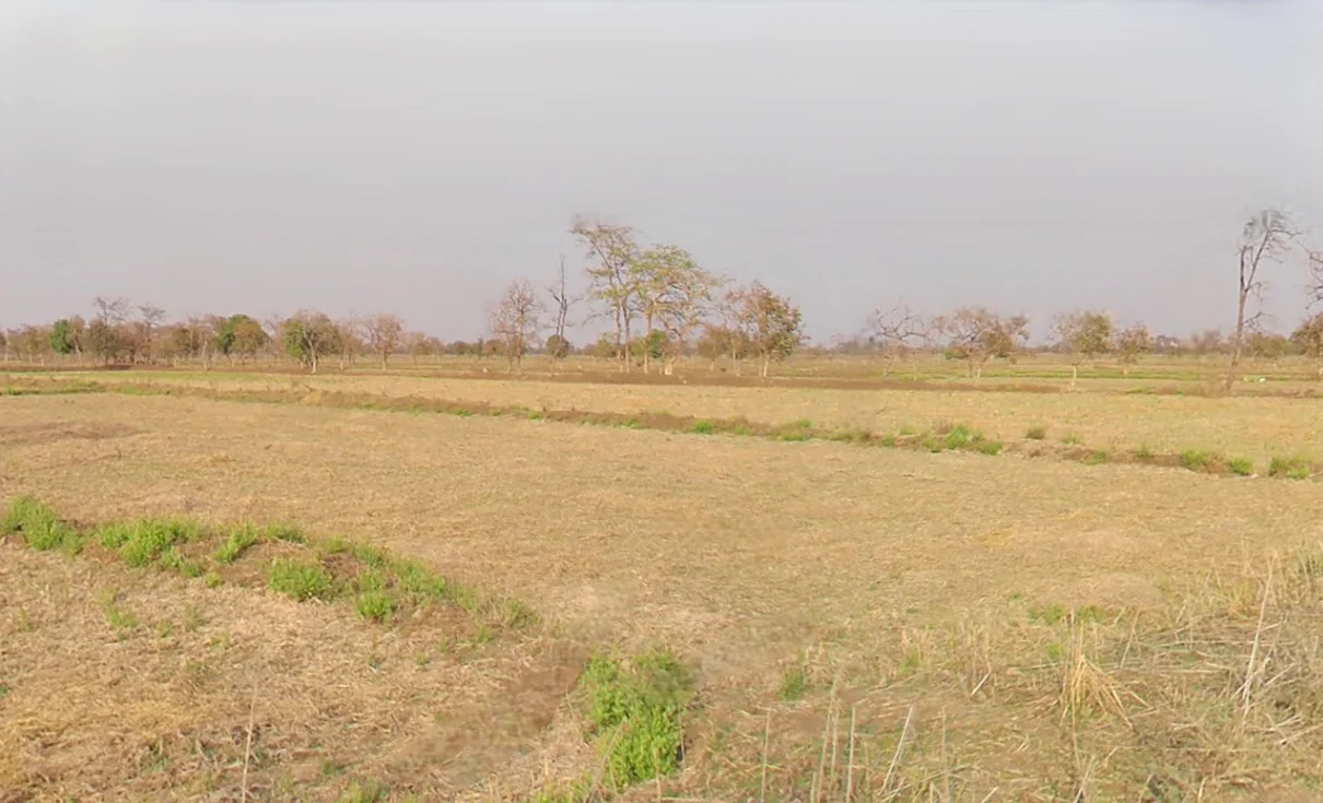 Medesara, Chhattisgarh 490036, India preview 3