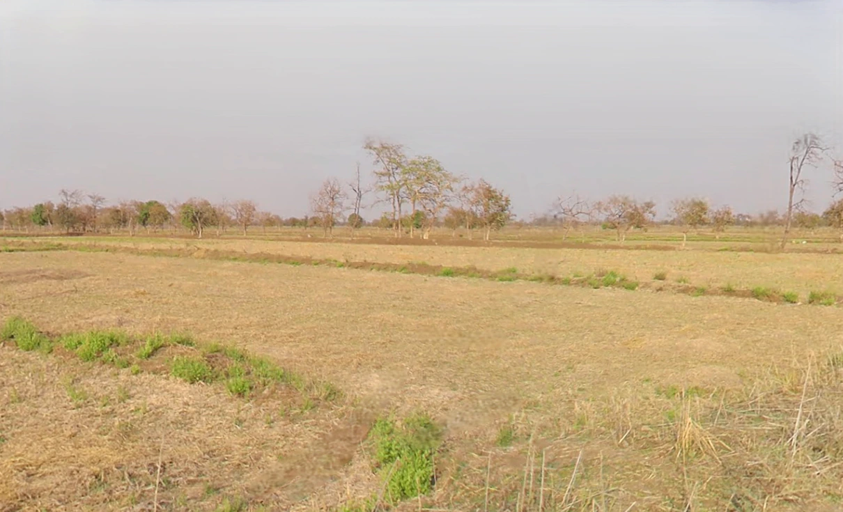 Medesara, Chhattisgarh 490036, India