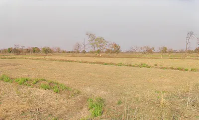 Medesara, Chhattisgarh 490036, India preview 3