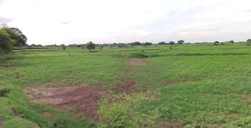 Naraini, Uttar Pradesh 210129, India preview 3