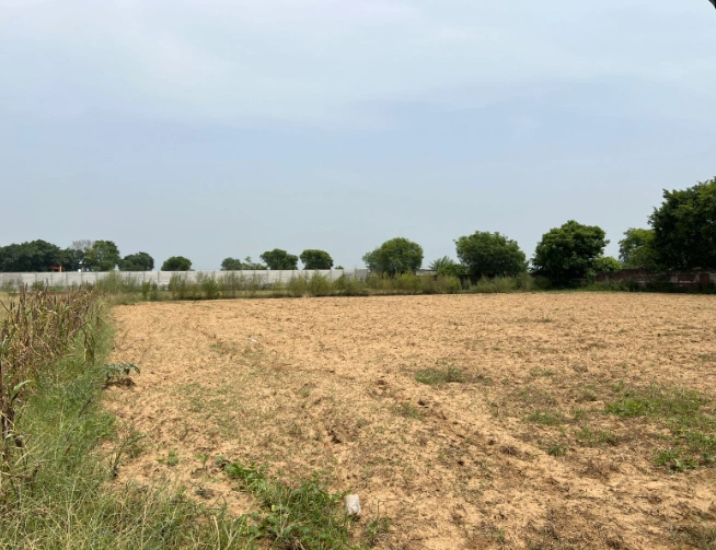Khair, Aligarh, Uttar Pradesh 202138, India