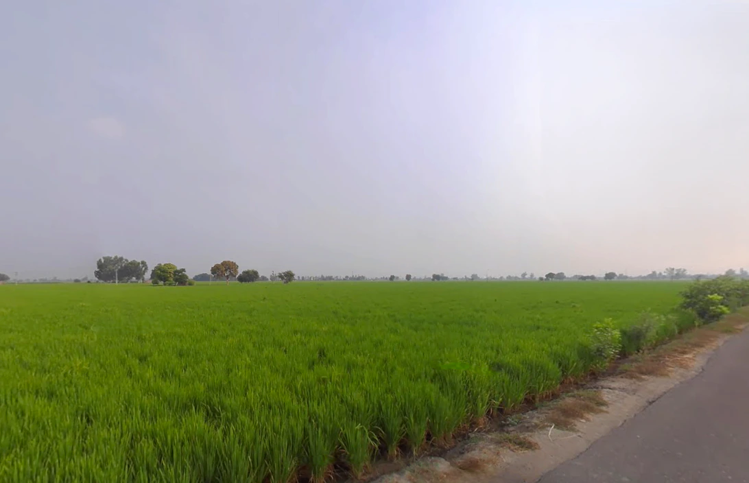 Bareta, Punjab 151501, India