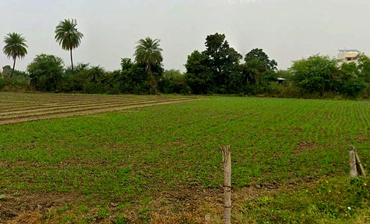 Panod, Madhya Pradesh 453771, India