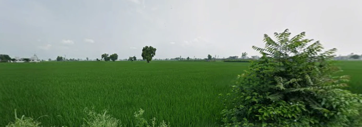 Dhilwan, Punjab 144804, India