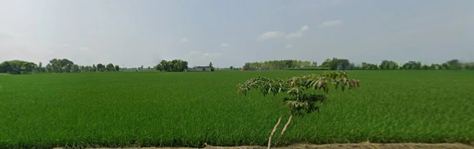 Ajnala, Punjab 143102, India