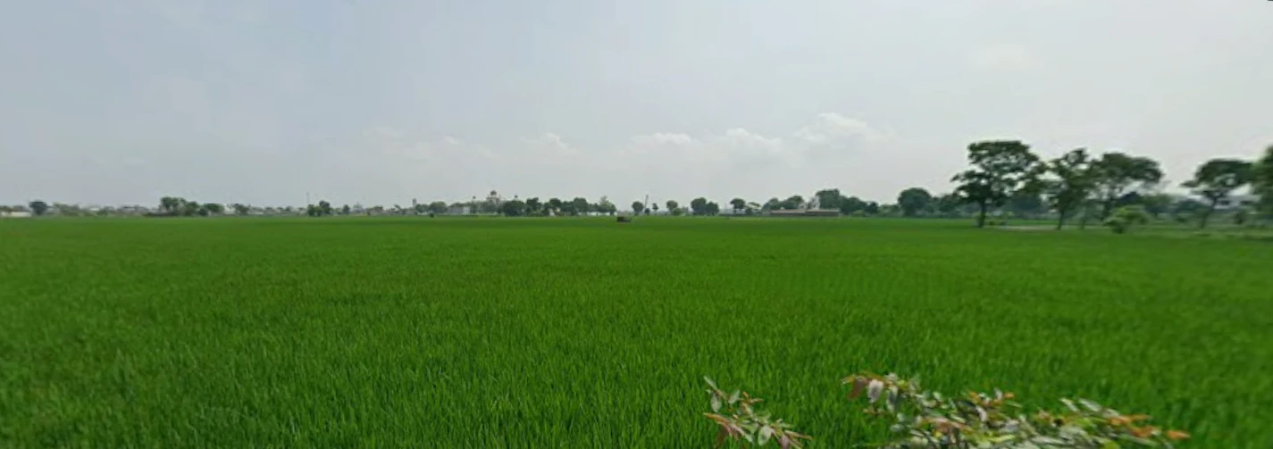 Ajnala, Punjab 143102, India