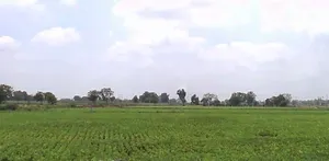 Bhilwara, Rajasthan, India preview 2