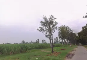 Hastinapur Rd, Gajrauli, Uttar Pradesh, India preview 3