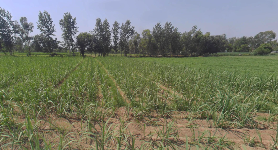 Anupshahar, Uttar Pradesh 203390, India