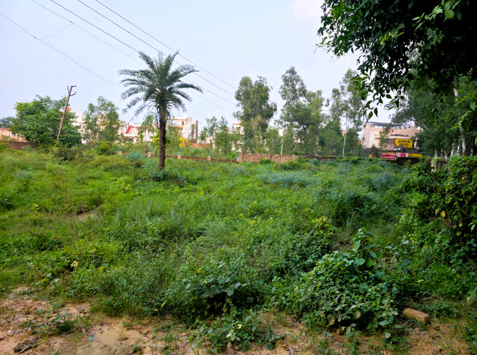 57GG+G5J, Yamunanagar, Jagadhri, Haryana, India