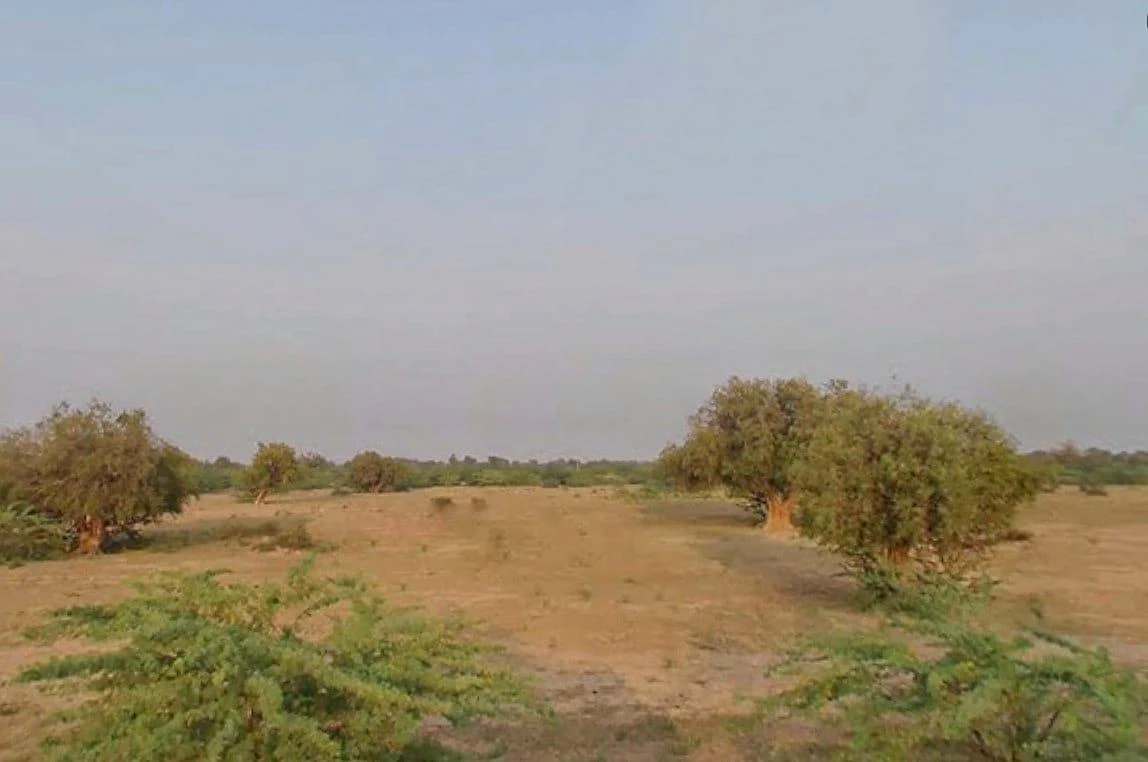 Ramdevra, Rajasthan 345023, India