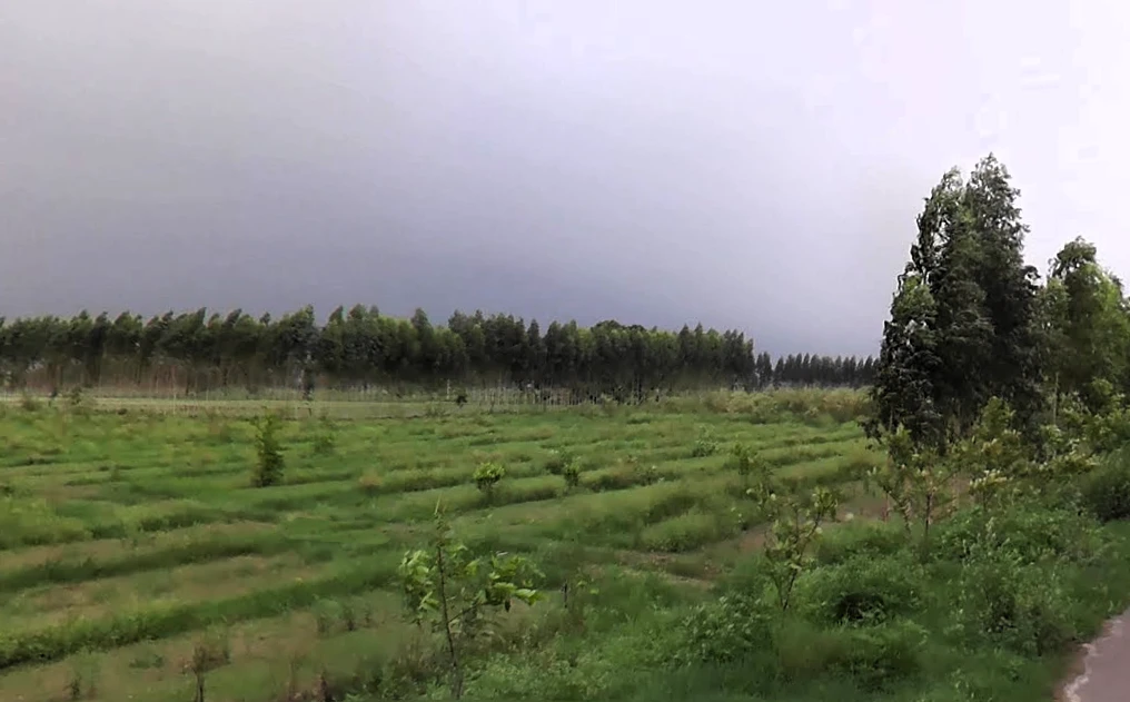 Grand Trunk Rd, Sonipat, Haryana, India