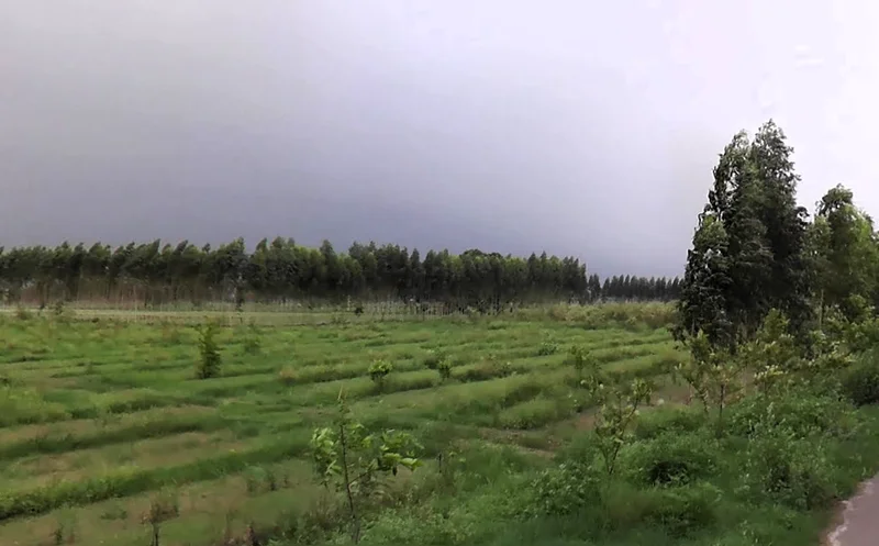 Grand Trunk Rd, Sonipat, Haryana, India preview 3