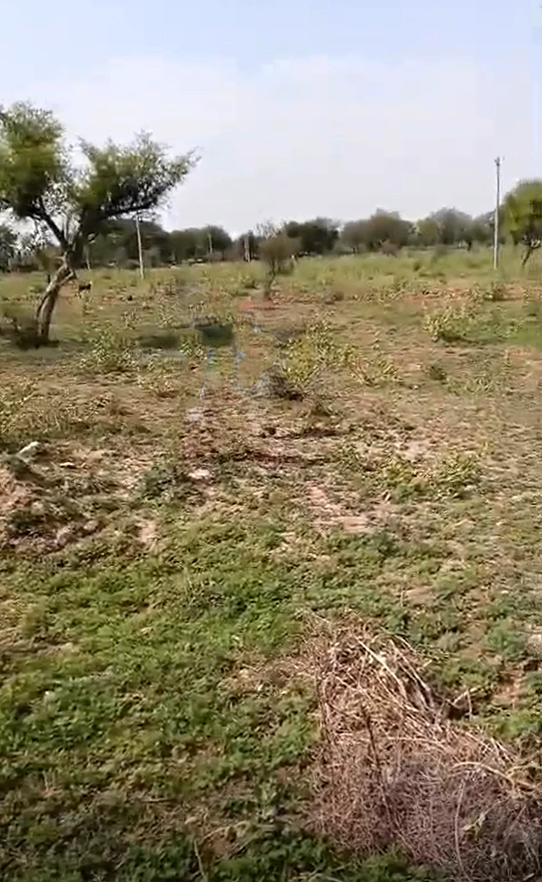 CVH5+MG6, Hathora, Rajasthan, India