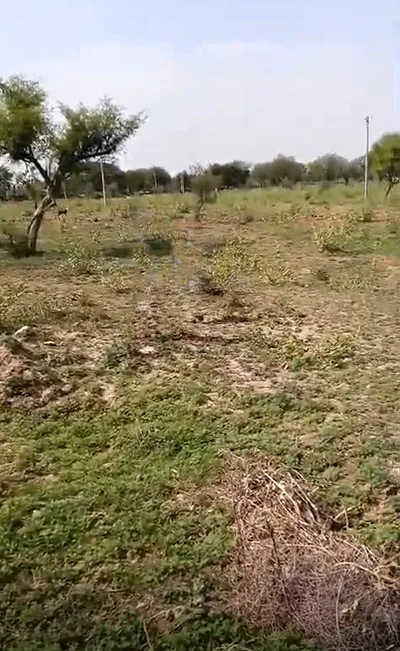CVH5+MG6, Hathora, Rajasthan, India preview 3