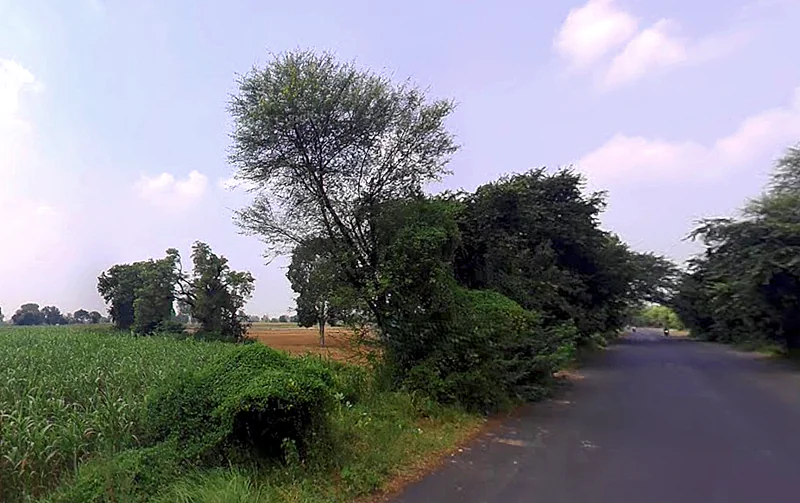 Barsana Rd, Chhata, Uttar Pradesh, India preview 2