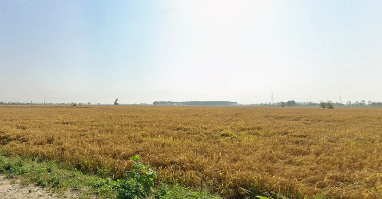 Chilli, Himachal Pradesh 177042, India